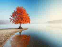 电‌子​智‍能‌标﻿签‍